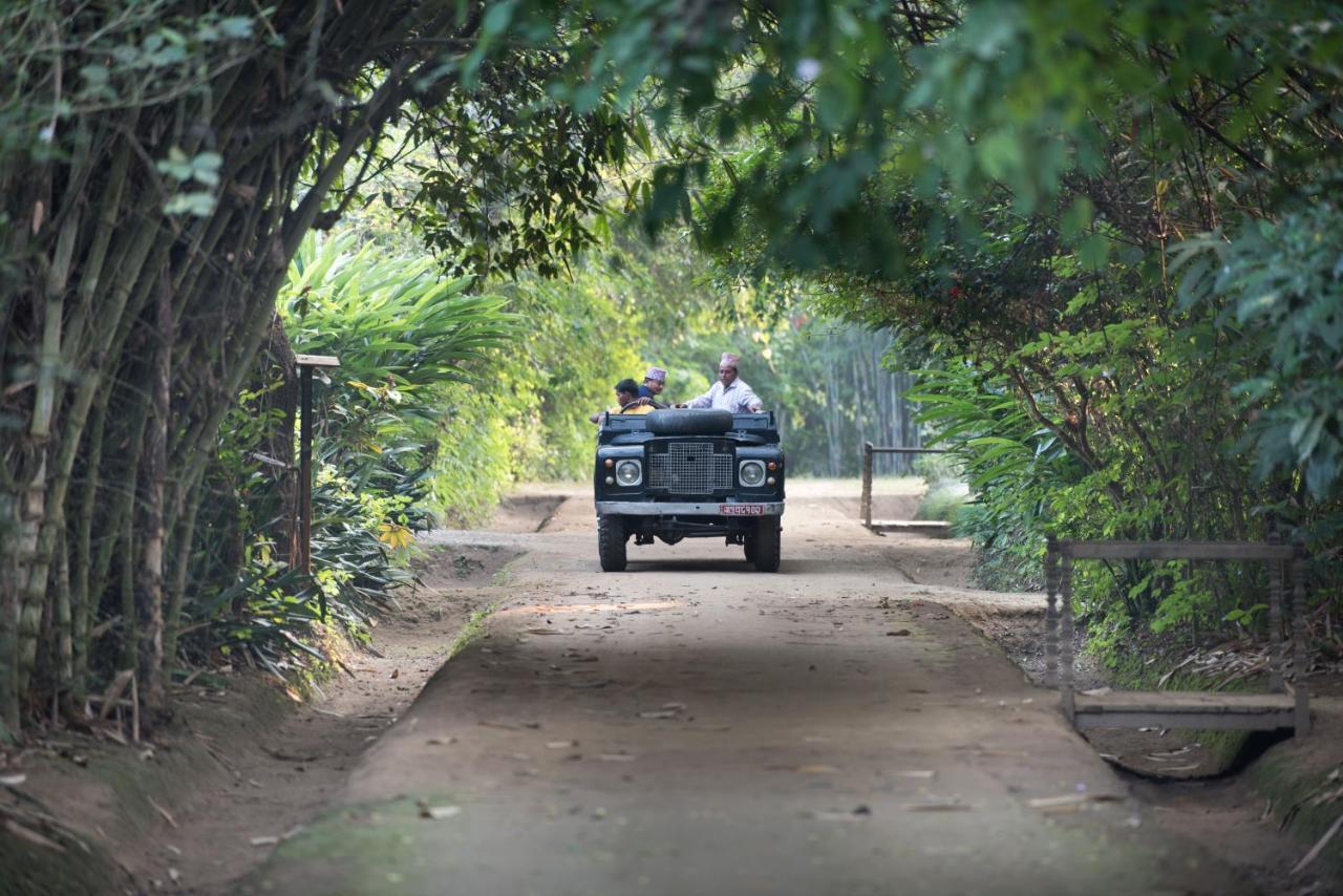 Tiger Tops Tharu Lodge Chitwan Bagian luar foto