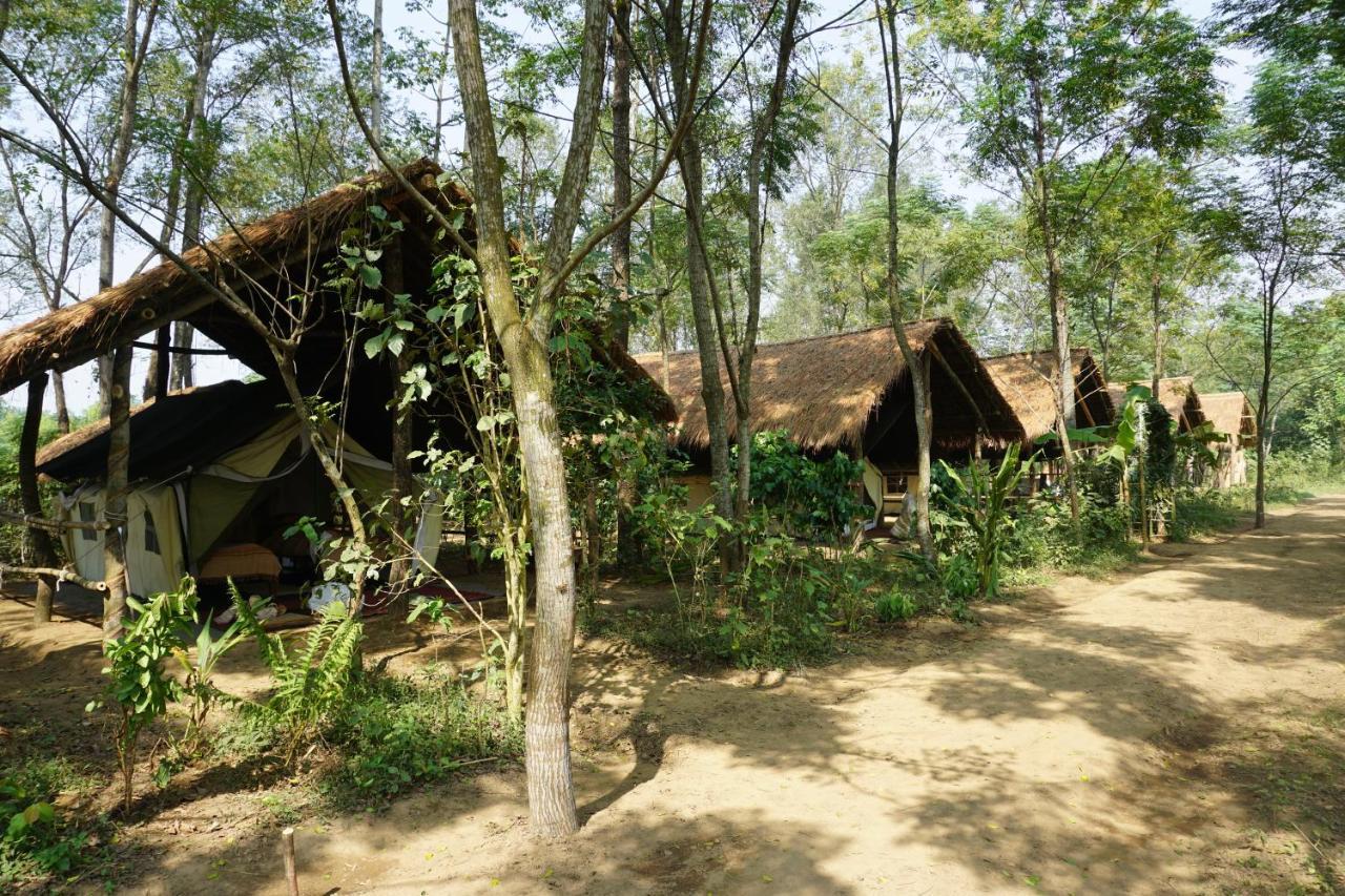 Tiger Tops Tharu Lodge Chitwan Bagian luar foto