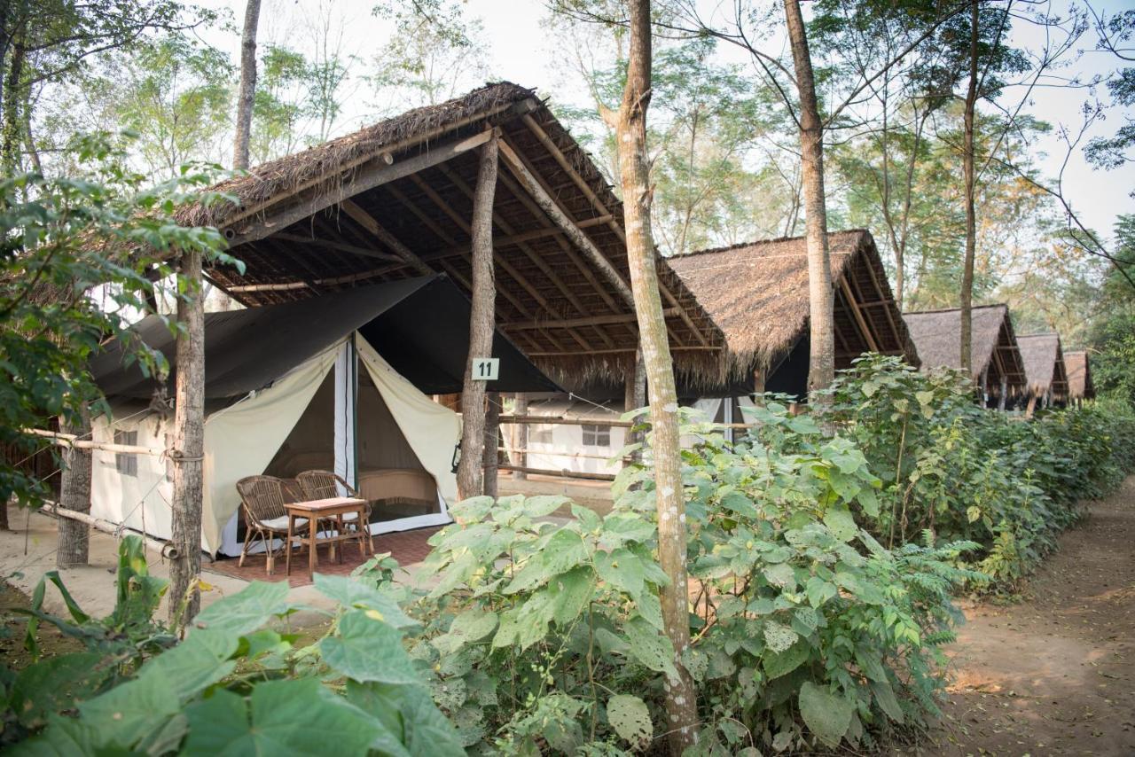 Tiger Tops Tharu Lodge Chitwan Bagian luar foto