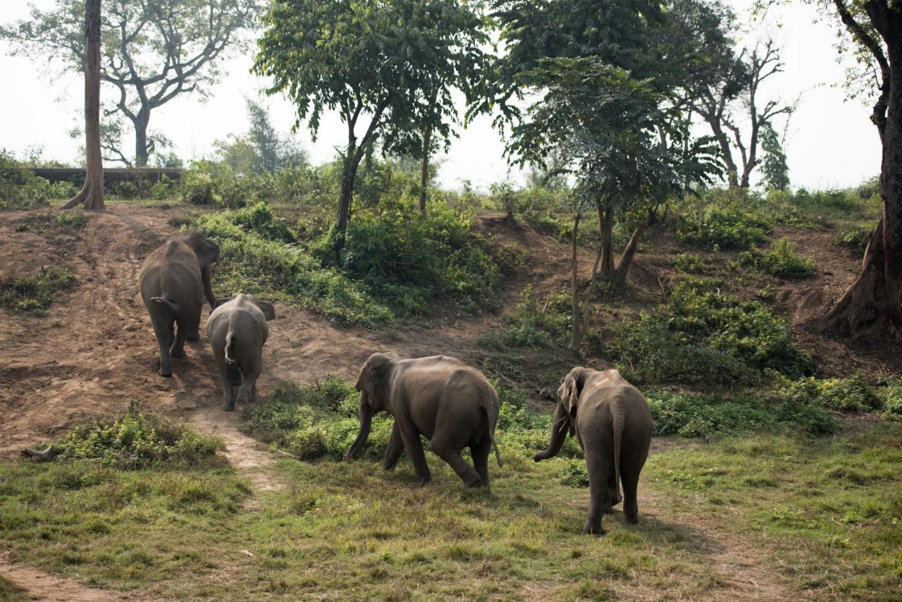 Tiger Tops Tharu Lodge Chitwan Bagian luar foto