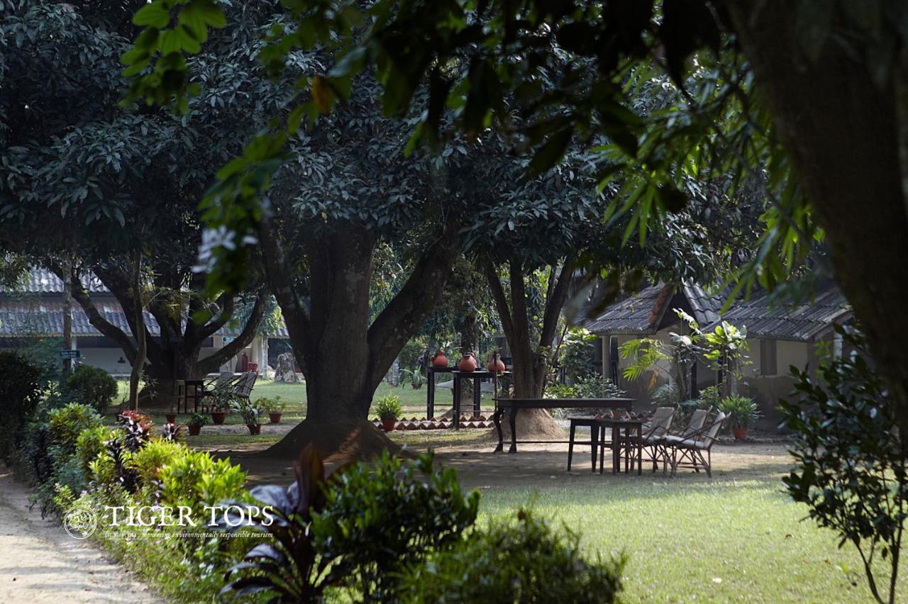 Tiger Tops Tharu Lodge Chitwan Bagian luar foto
