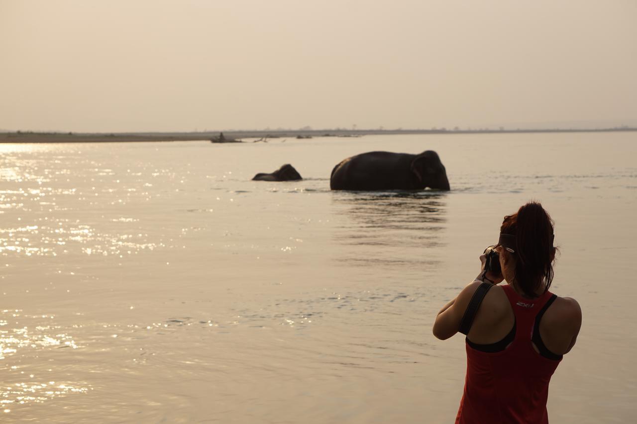 Tiger Tops Tharu Lodge Chitwan Bagian luar foto