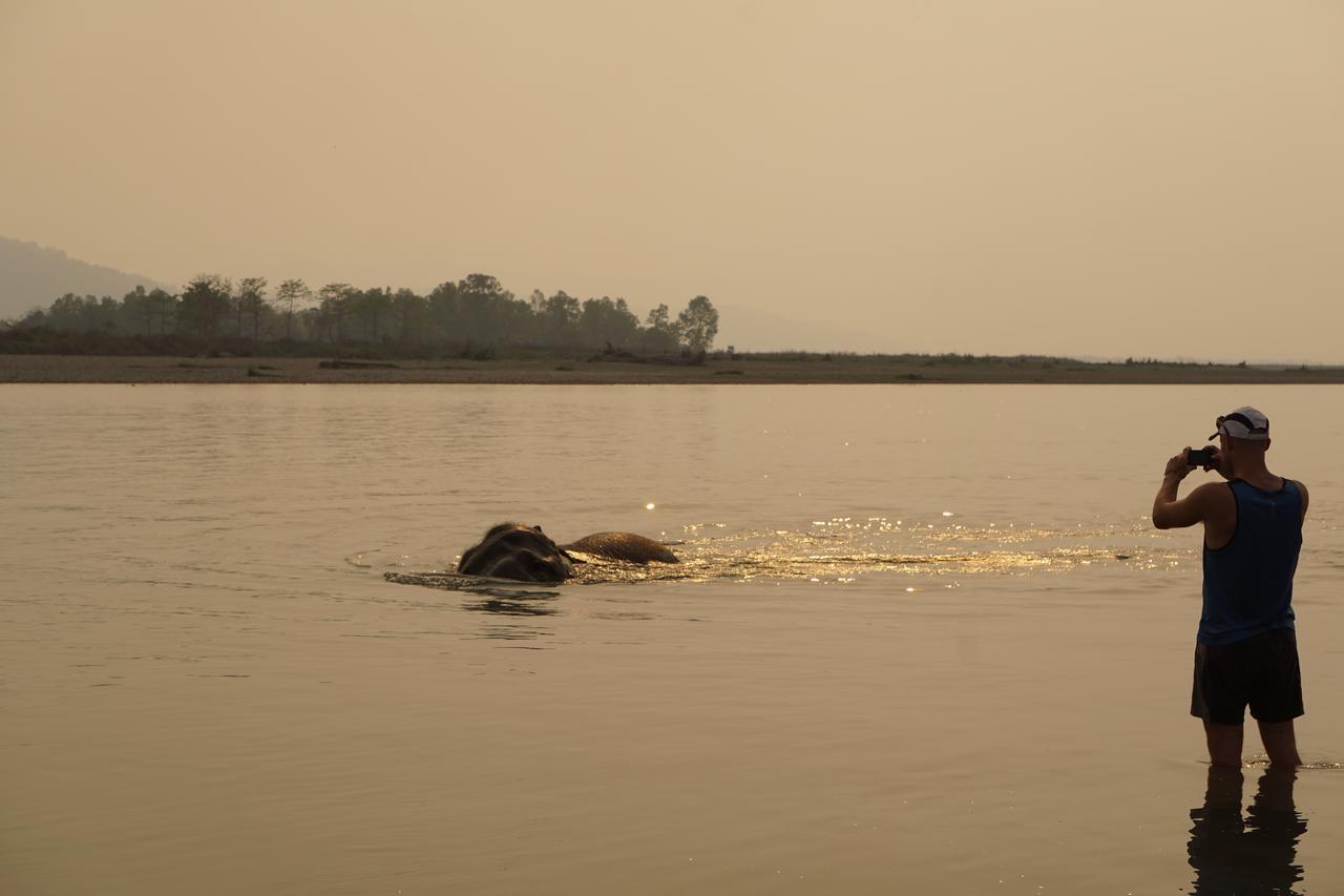 Tiger Tops Tharu Lodge Chitwan Bagian luar foto