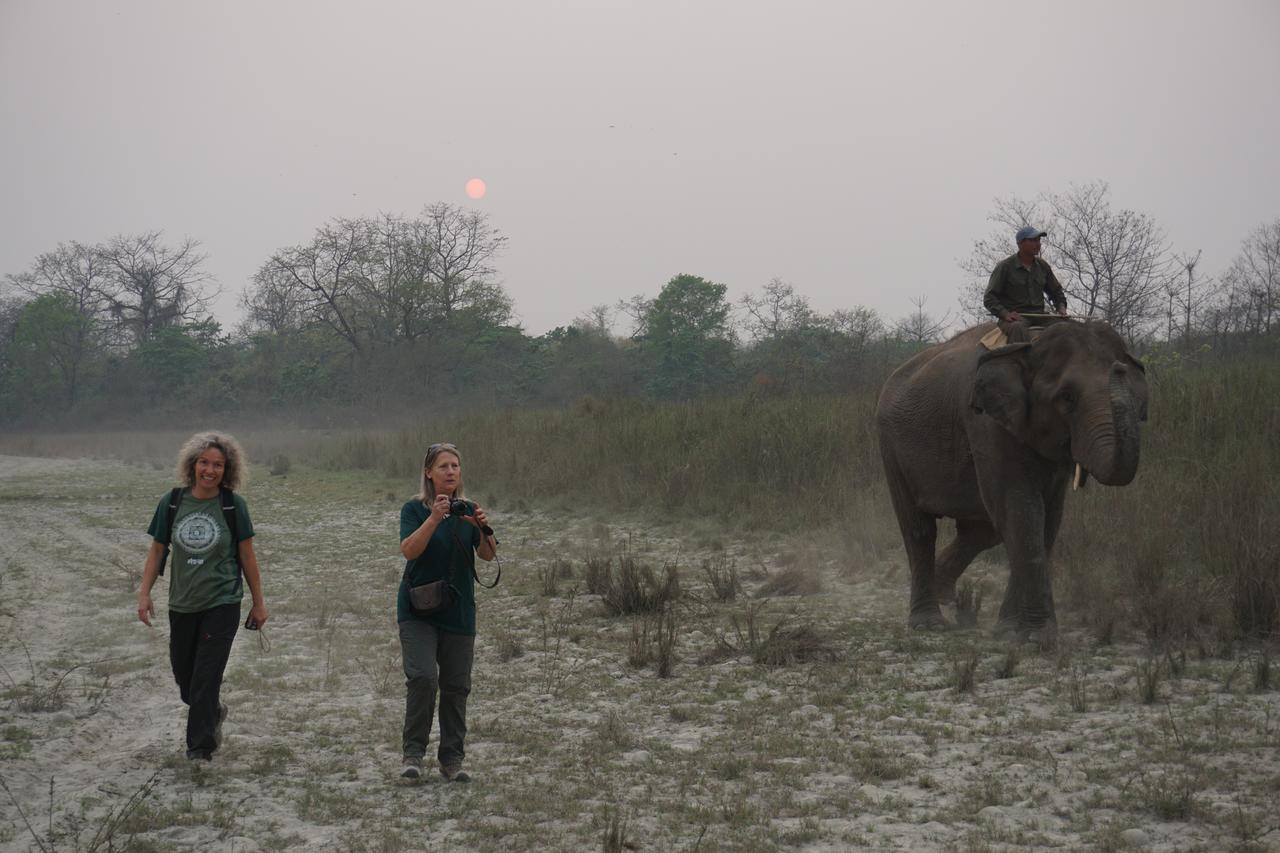Tiger Tops Tharu Lodge Chitwan Bagian luar foto