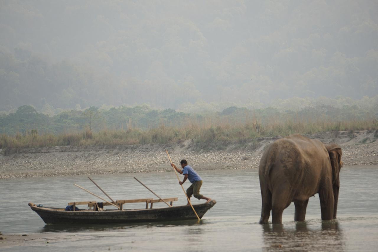 Tiger Tops Tharu Lodge Chitwan Bagian luar foto