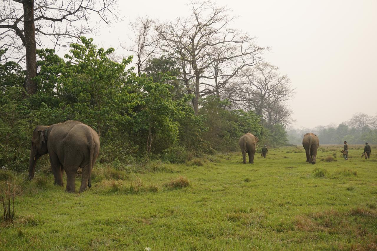 Tiger Tops Tharu Lodge Chitwan Bagian luar foto