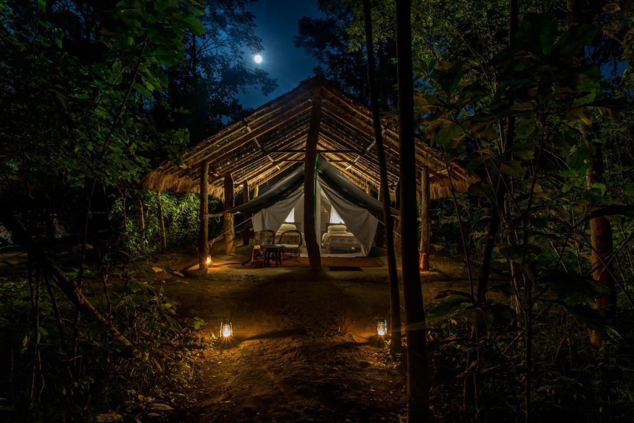 Tiger Tops Tharu Lodge Chitwan Bagian luar foto