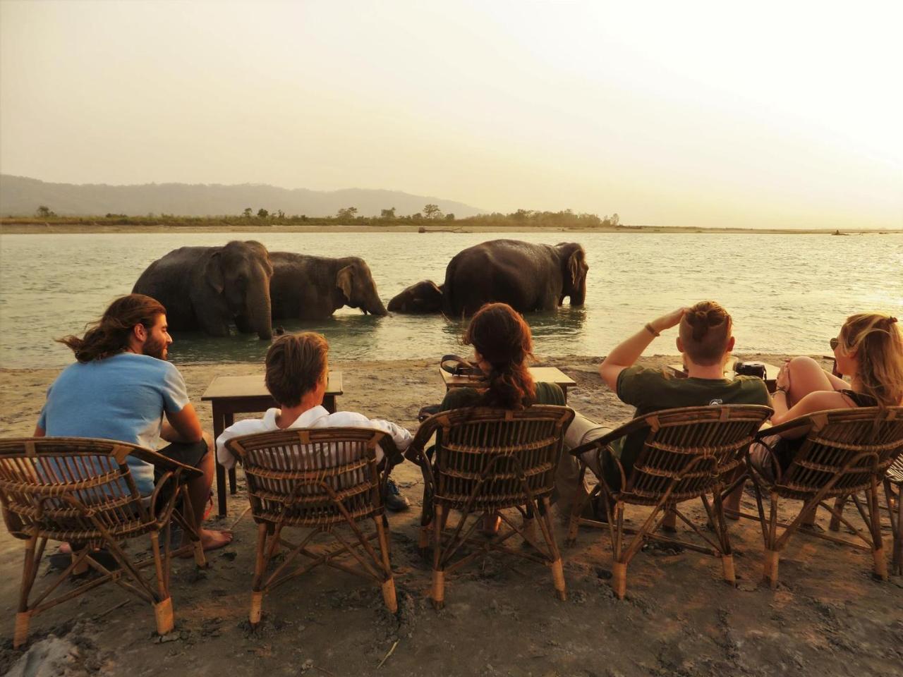 Tiger Tops Tharu Lodge Chitwan Bagian luar foto