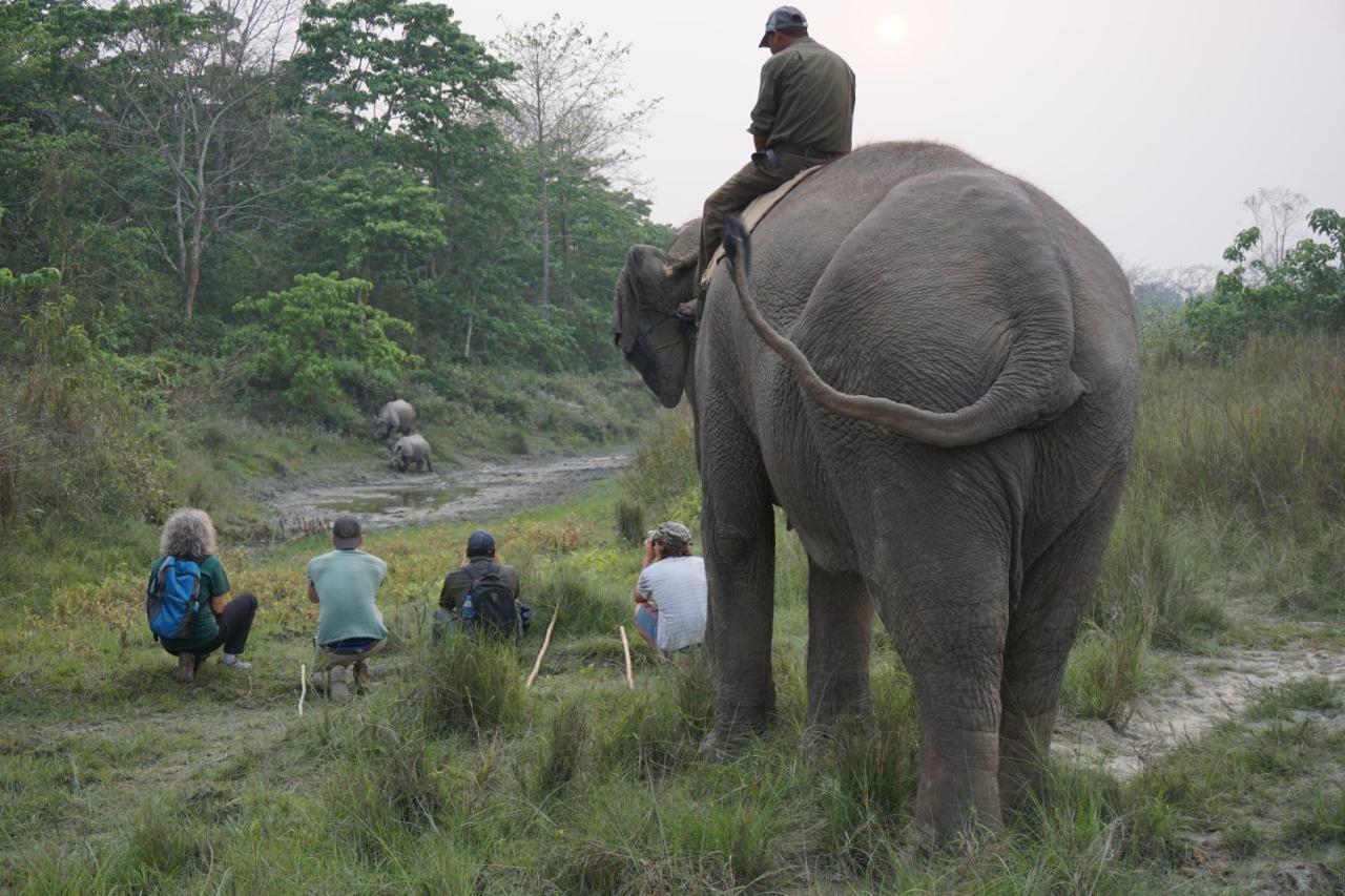Tiger Tops Tharu Lodge Chitwan Bagian luar foto